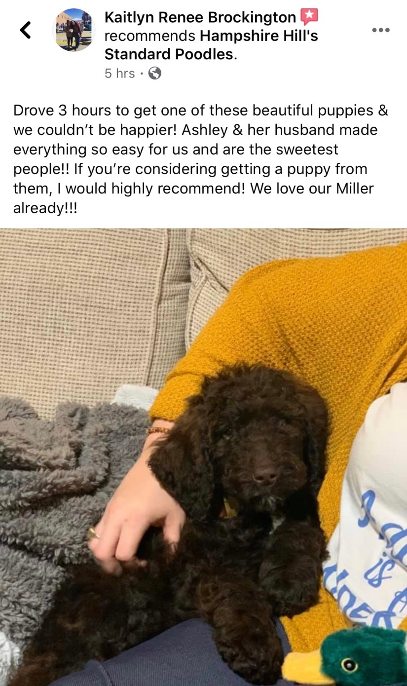 C5E9FD14-7884-4145-8866-29BC4033B3FC