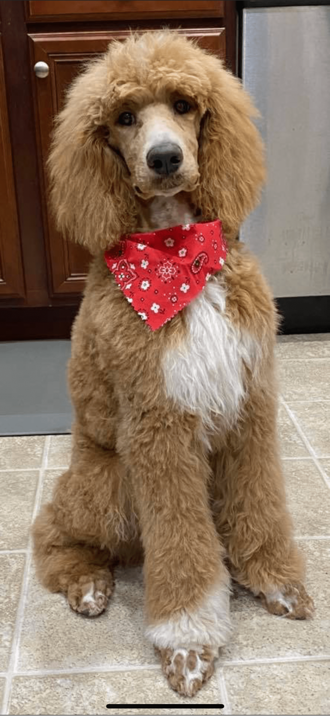 084FD631-6C17-4A85-8787-709095B35610