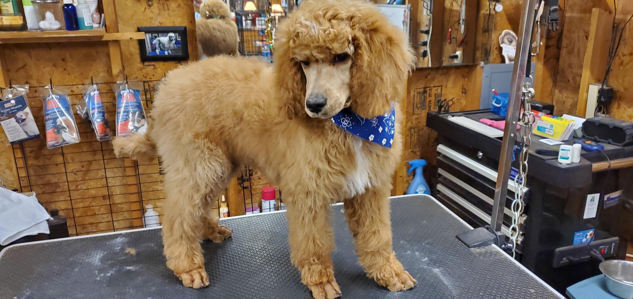 12625D7D-8A70-42A2-B1B9-427A115EA2CD