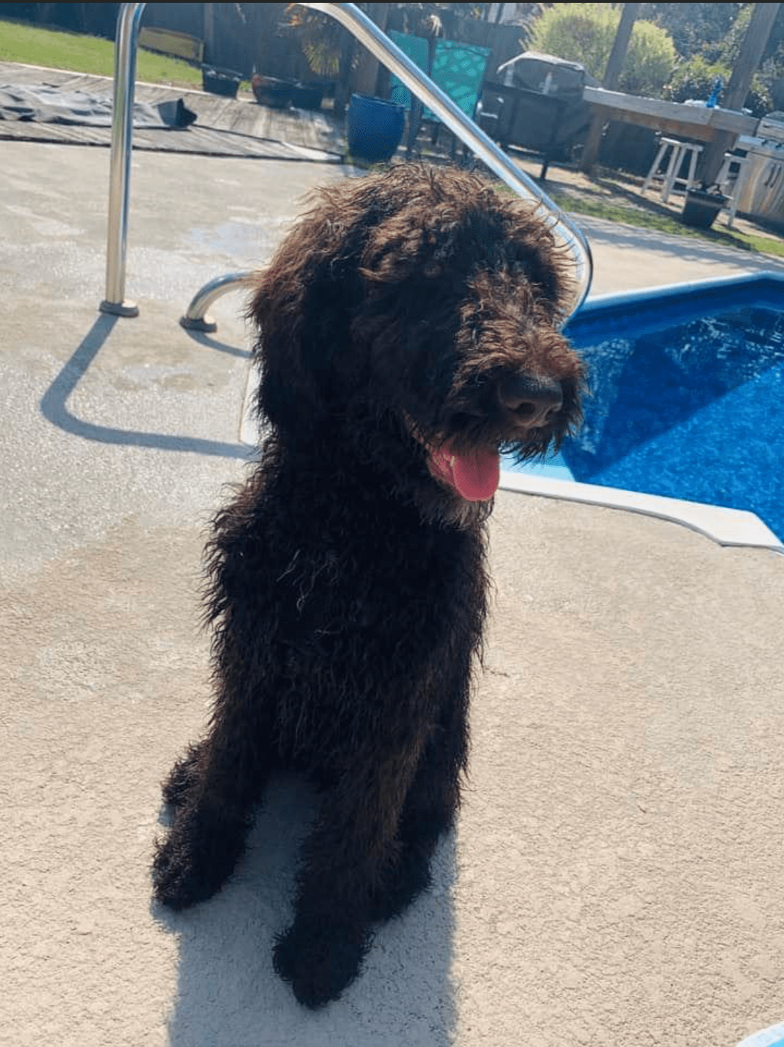 1C0E804D-1FA1-4CEA-BC06-4A28010CE9C4