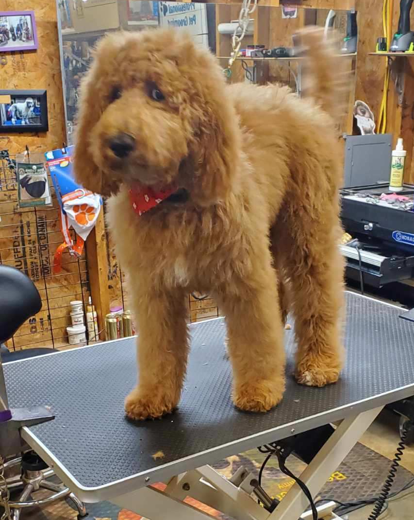 79882C07-A5B8-4E39-8FA5-B37473C5CDF8